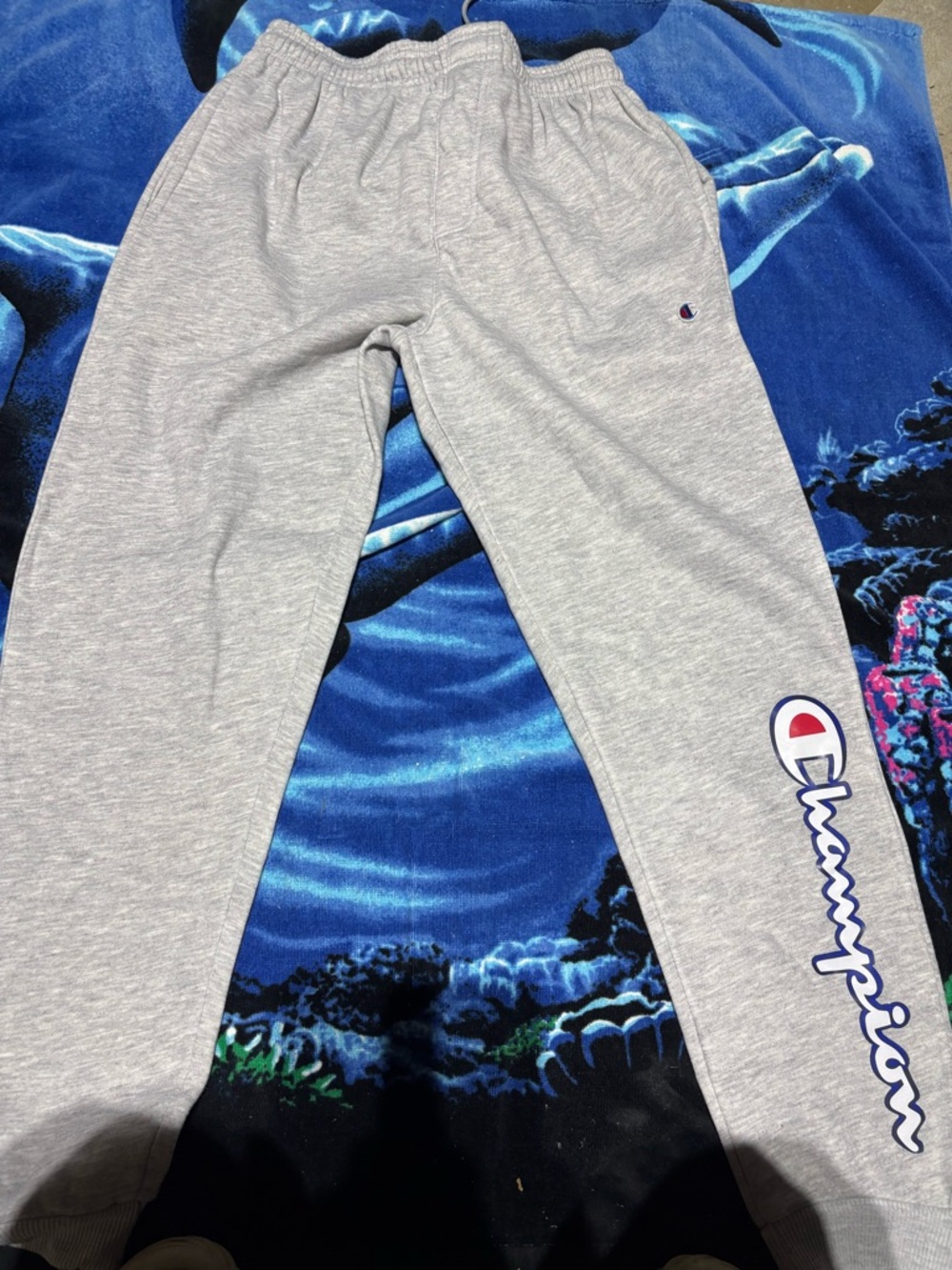 Champion men's joggers Men’s 2Xl